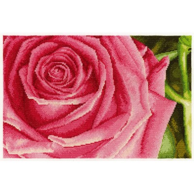 Rose Counted Cross Stitch Kit